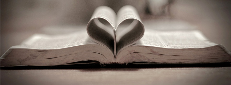 artigo: Propostas de Amor - 1ª parte